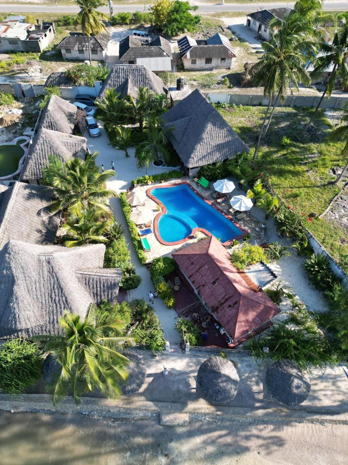 Amber Lodge Pongwe Exteriér fotografie