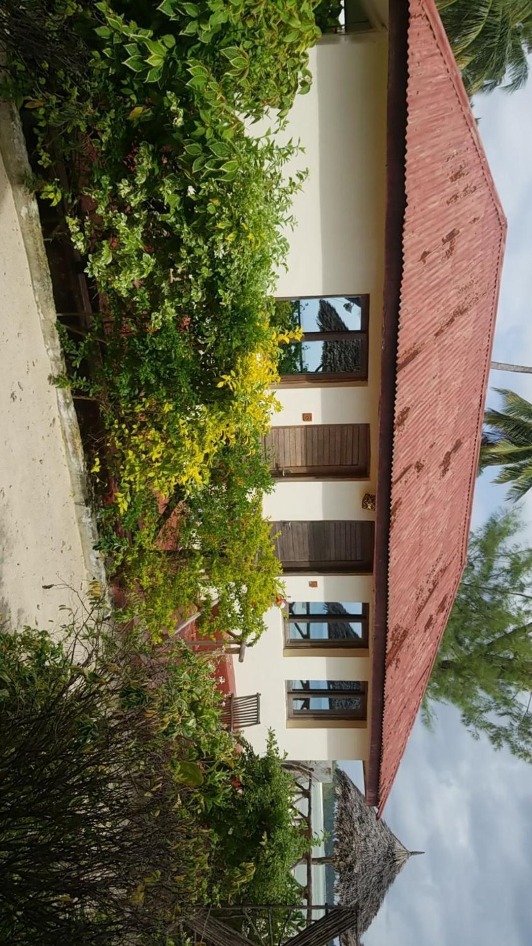 Amber Lodge Pongwe Exteriér fotografie